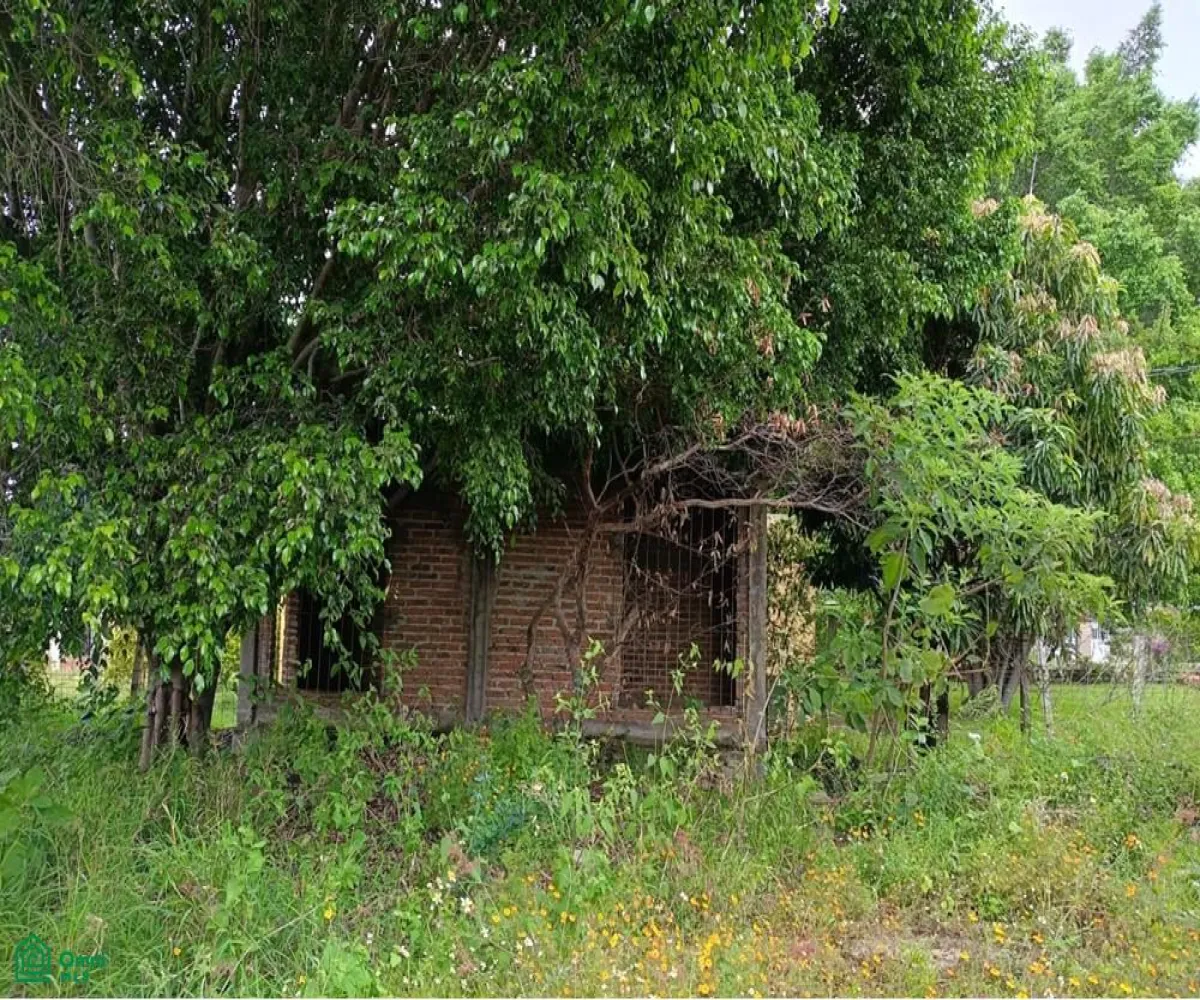 Terreno En Venta,Hacienda Los Cedros,Antigua carretera Chapala, fracción 8 S/N, Guadalajara, Jalisco 45850,Antigua carretera Chapala, fracción 8,MX251037516