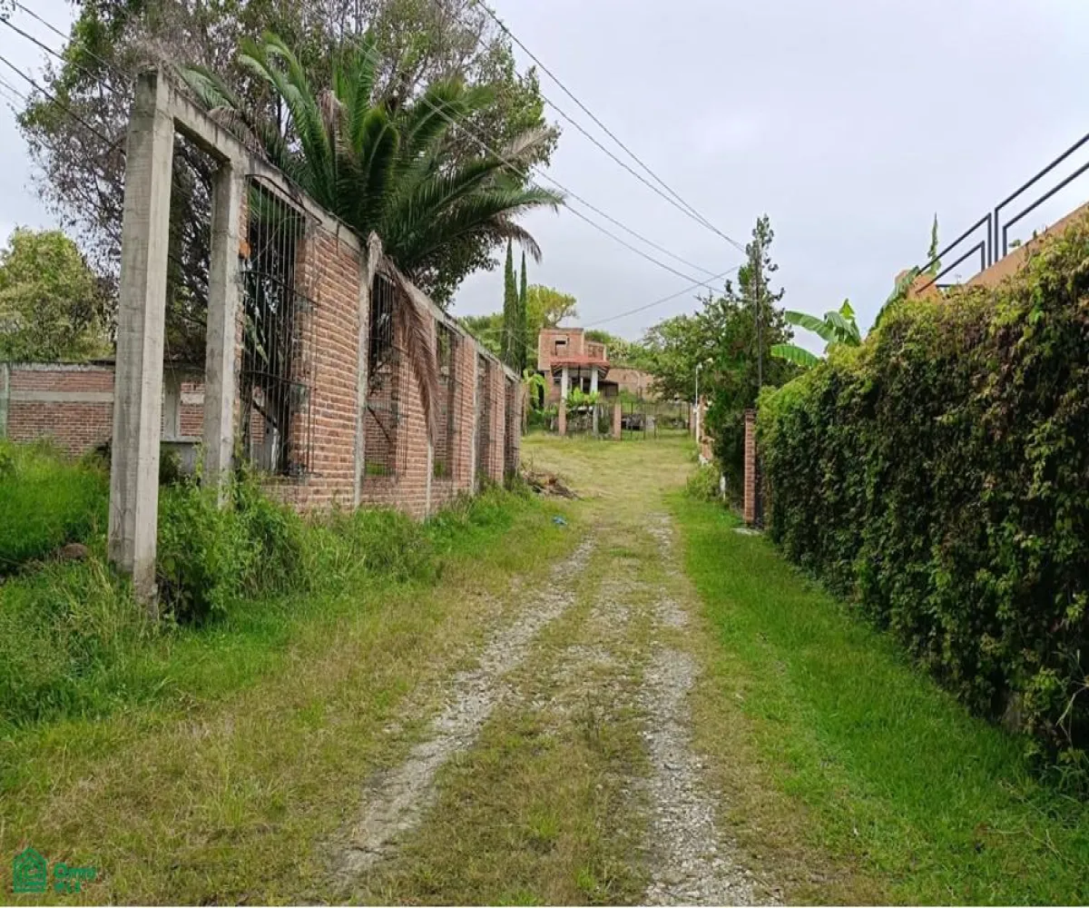 Terreno En Venta,Hacienda Los Cedros,Antigua carretera Chapala, fracción 8 S/N, Guadalajara, Jalisco 45850,Antigua carretera Chapala, fracción 8,MX251037516