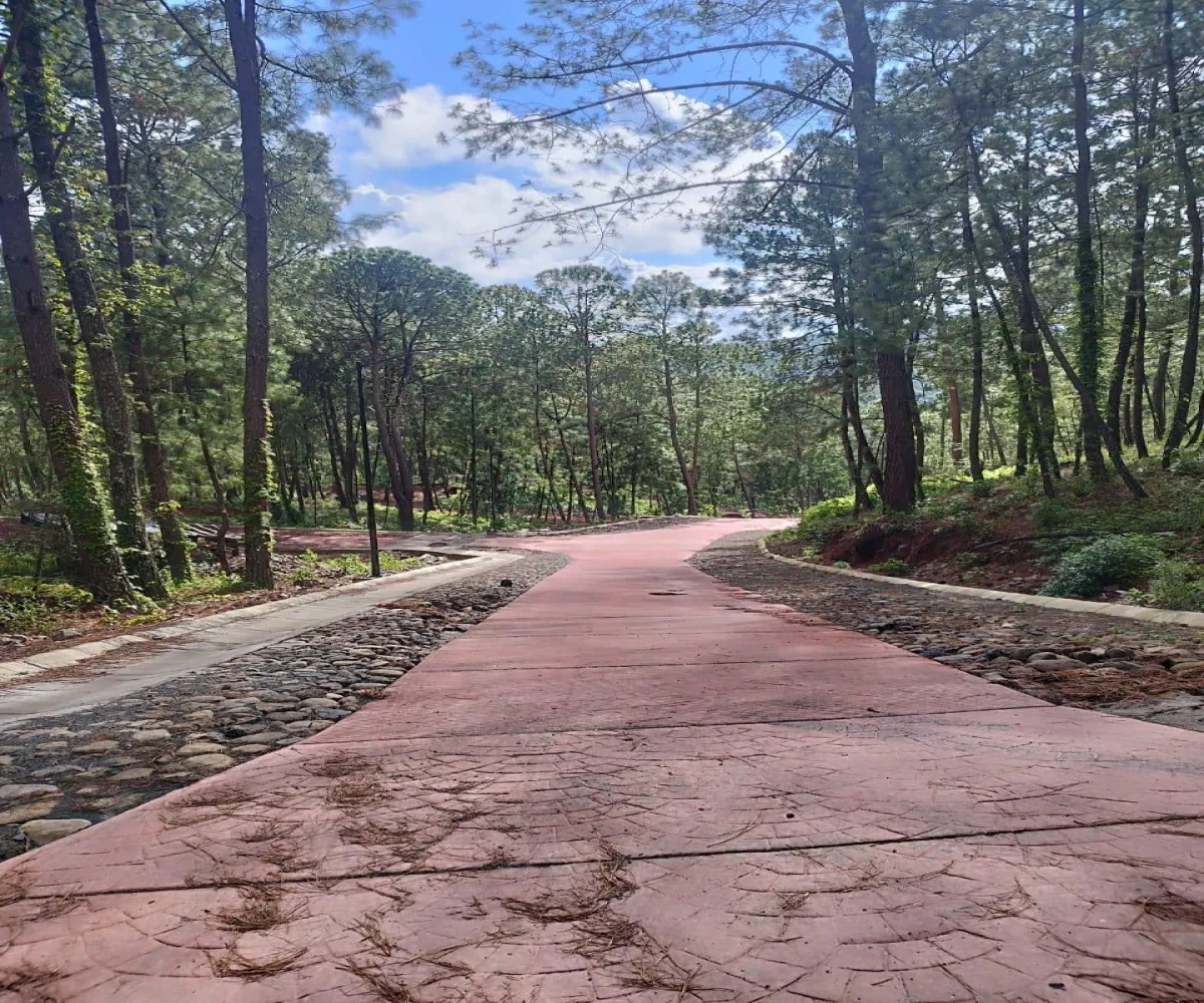 Terreno En Venta,Mazamitla,Loma Blanca 6, Mazamitla, Jalisco 49500,Los Alisos,Loma Blanca,723260