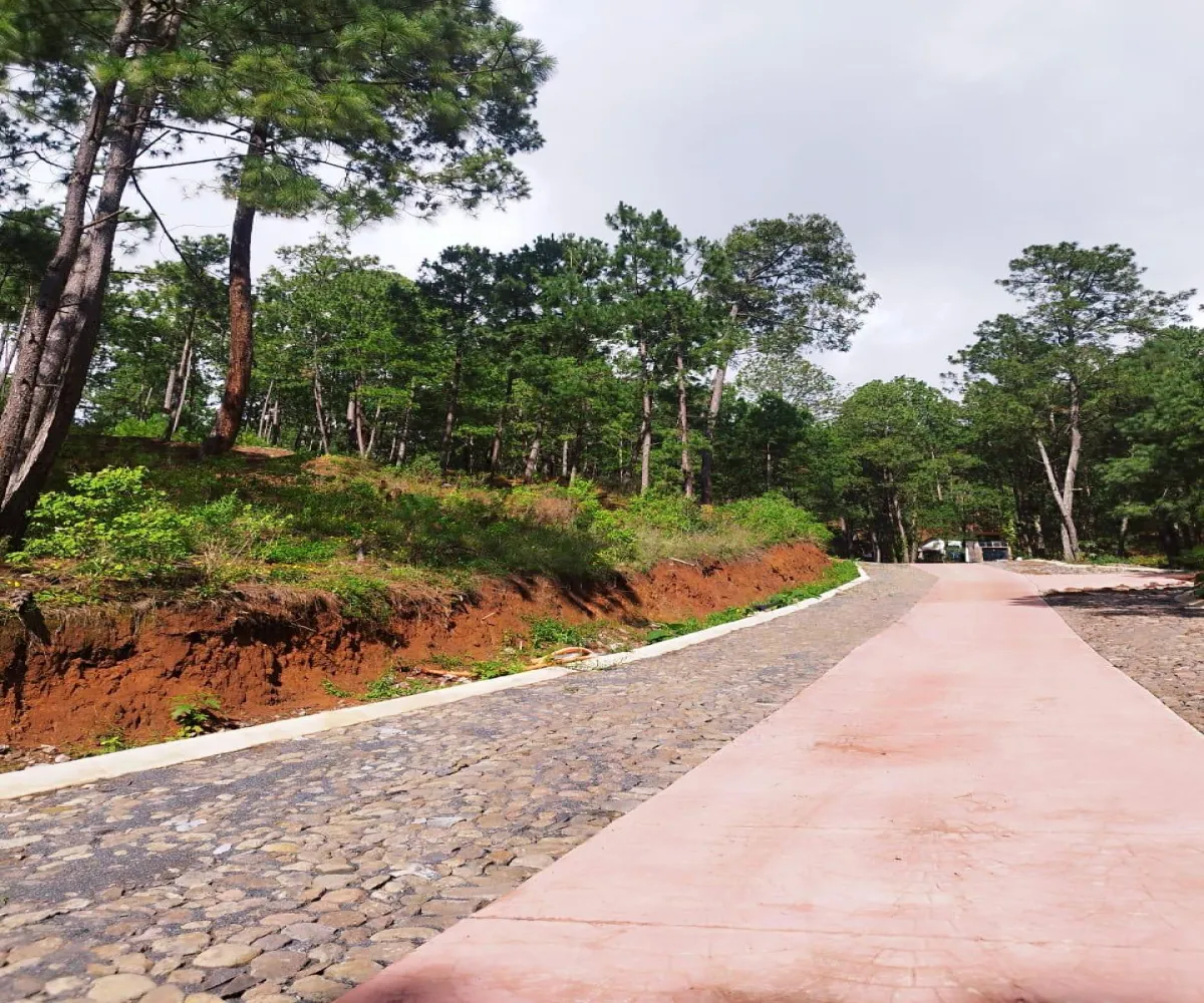 Terreno En Venta,Mazamitla,Loma Blanca 6, Mazamitla, Jalisco 49500,Los Alisos,Loma Blanca,723260