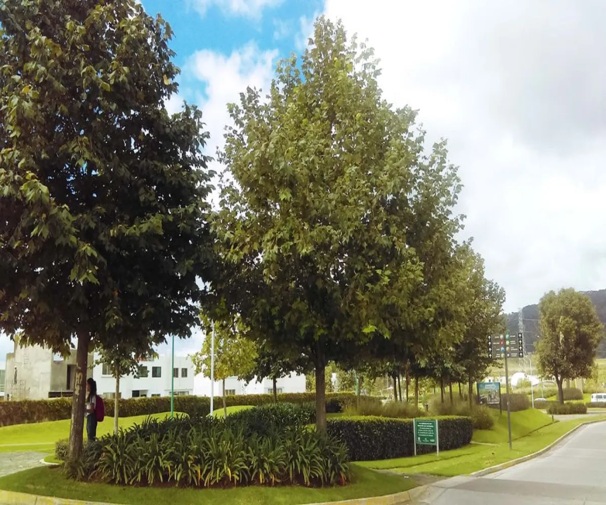 Terreno En Venta,La venta del astillero,Avenida de la Pradera 487, Zapopan, Jalisco 45221,Avenida de la Pradera,pK2ewdm