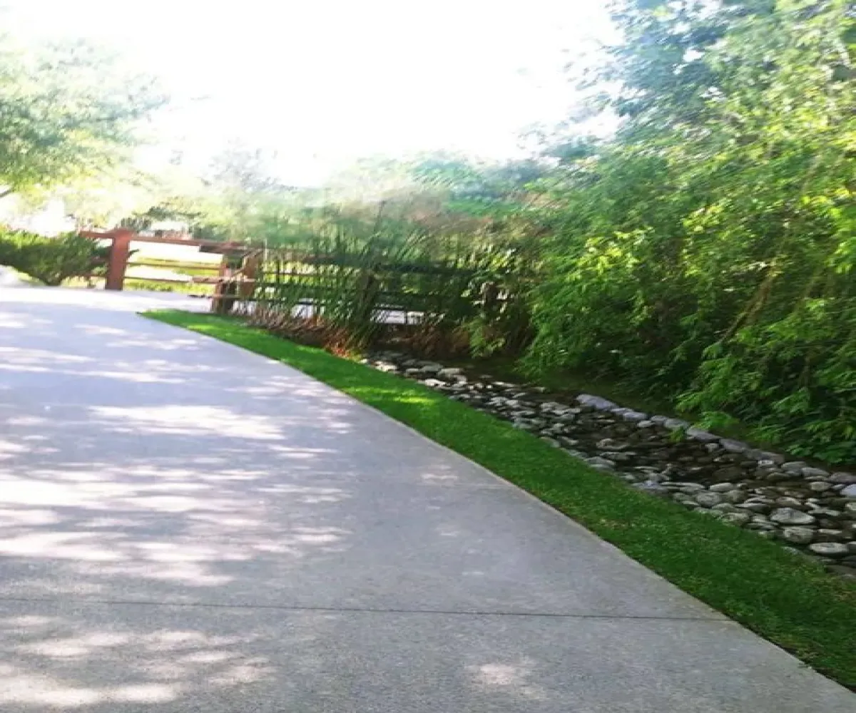 Terreno En Venta,Vallarta Universidad,Avenida Juan Palomar y Arias 14, Zapopan, Jalisco 45110,Avenida Juan Palomar y Arias,p6VrKOT