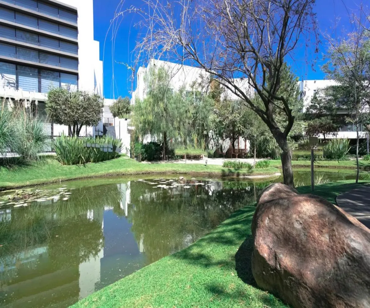 Terreno En Venta,Vallarta Universidad,Avenida Juan Palomar y Arias 14, Zapopan, Jalisco 45110,Avenida Juan Palomar y Arias,p6VrKOT