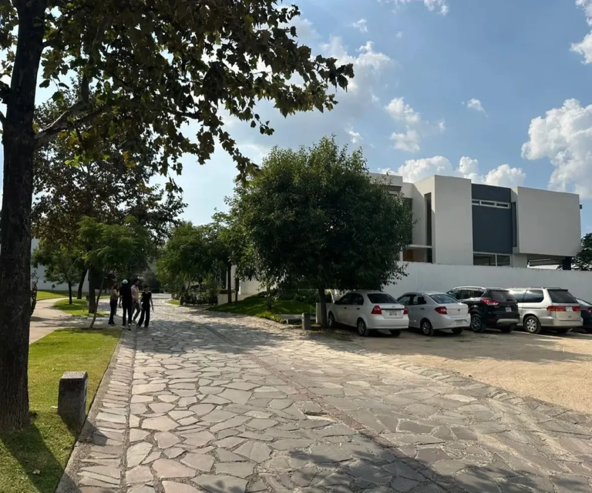 Terreno En Venta,Vallarta Universidad,Avenida Juan Palomar y Arias 14, Zapopan, Jalisco 45110,Avenida Juan Palomar y Arias,p6VrKOT