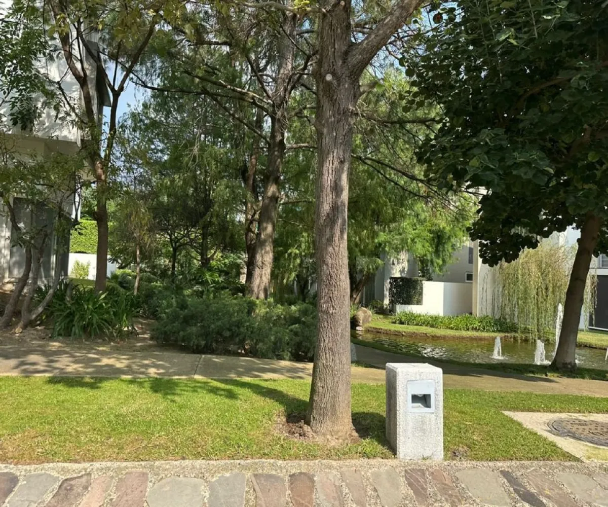 Terreno En Venta,Vallarta Universidad,Avenida Juan Palomar y Arias 14, Zapopan, Jalisco 45110,Avenida Juan Palomar y Arias,p6VrKOT