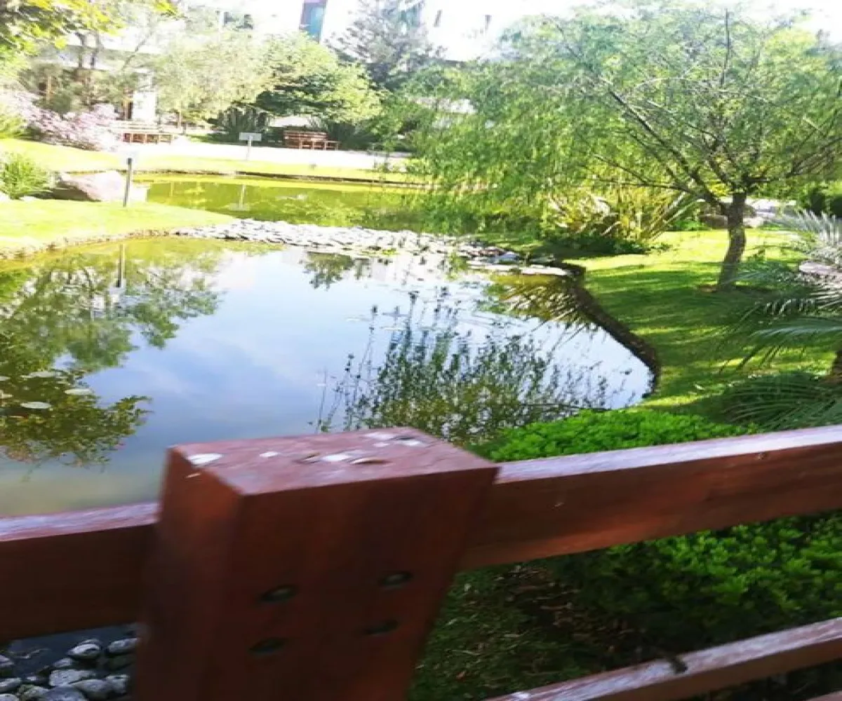 Terreno En Venta,Vallarta Universidad,Avenida Juan Palomar y Arias 14, Zapopan, Jalisco 45110,Avenida Juan Palomar y Arias,p6VrKOT