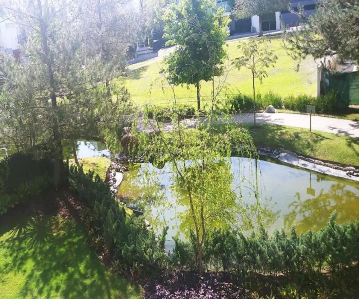 Terreno En Venta,Vallarta Universidad,Avenida Juan Palomar y Arias 14, Zapopan, Jalisco 45110,Avenida Juan Palomar y Arias,p6VrKOT