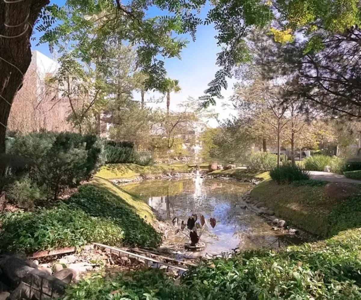 Terreno En Venta,Vallarta Universidad,Avenida Juan Palomar y Arias 14, Zapopan, Jalisco 45110,Avenida Juan Palomar y Arias,p6VrKOT