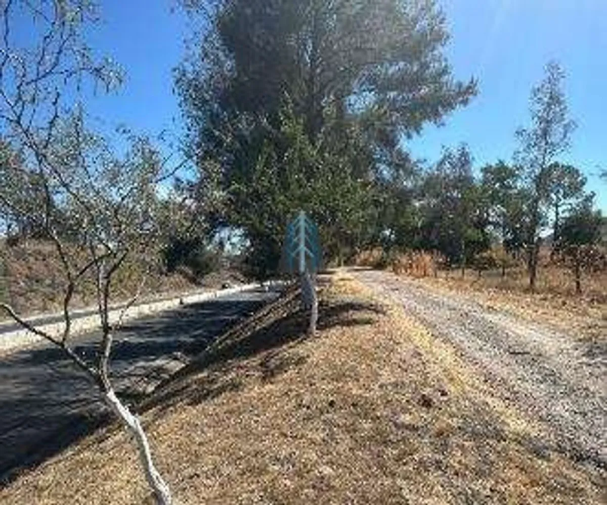 Terreno En Venta,Carretera Chapala Km 31 31, Ixtlahuacán de los Membrillos, Jalisco 45850,Carretera Chapala Km 31,pTrLJ73