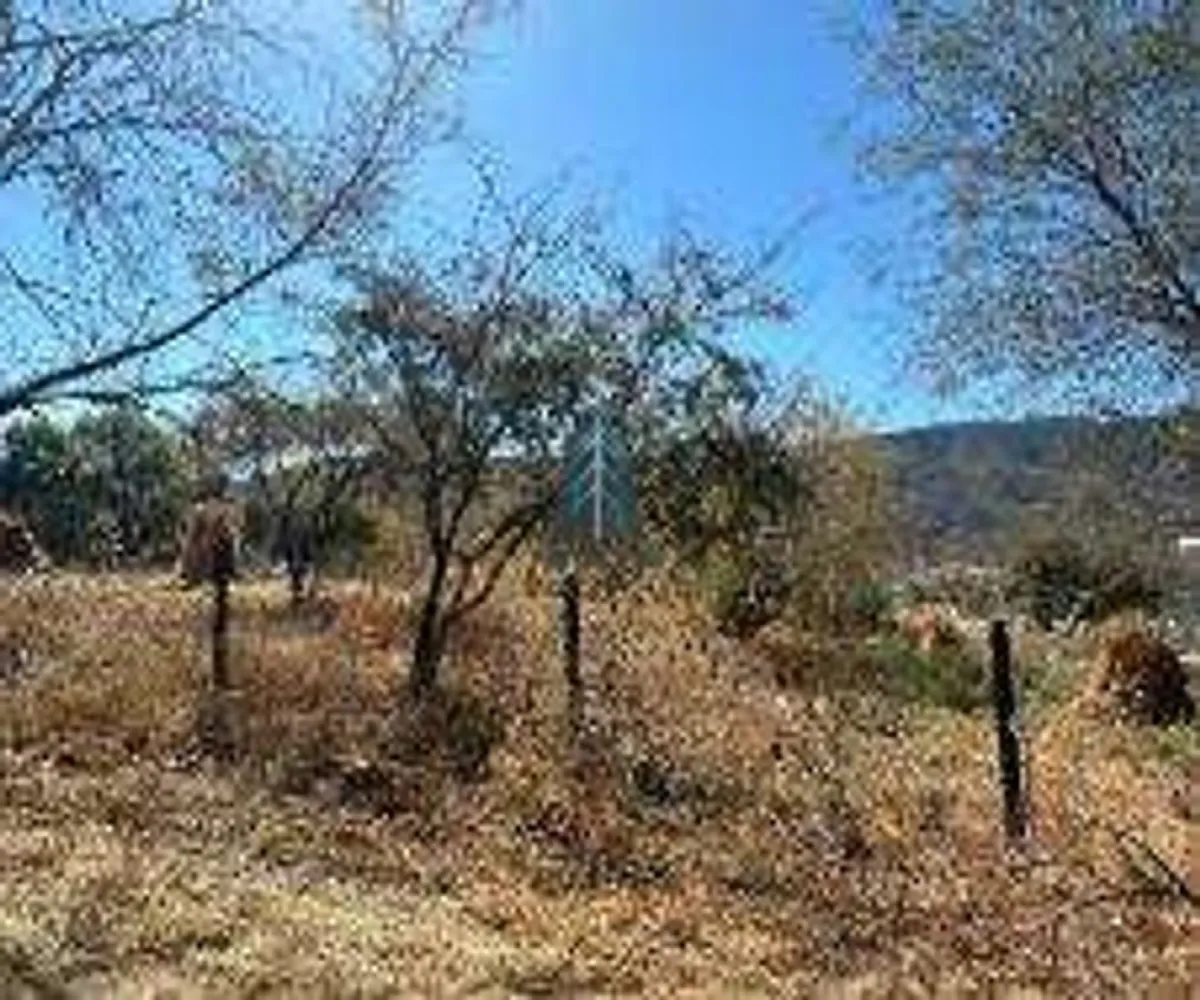Terreno En Venta,Carretera Chapala Km 31 31, Ixtlahuacán de los Membrillos, Jalisco 45850,Carretera Chapala Km 31,pTrLJ73