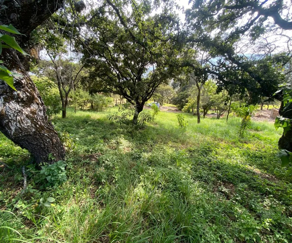 Terreno En Venta,Carretera Catarina - Atemajac de Brizuela KM 27 S/N, Atemajac de Brizuela, Jalisco 45798,Carretera Catarina - Atemajac de Brizuela KM 27,p06bltf