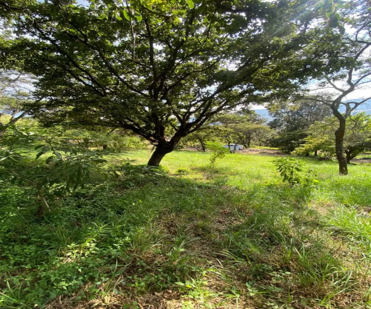 Terreno En Venta,Carretera Catarina - Atemajac de Brizuela KM 27 S/N, Atemajac de Brizuela, Jalisco 45798,Carretera Catarina - Atemajac de Brizuela KM 27,p06bltf