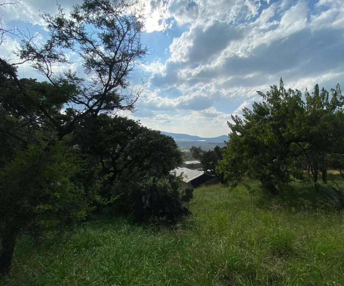 Terreno En Venta,Carretera Catarina - Atemajac de Brizuela KM 27 S/N, Atemajac de Brizuela, Jalisco 45798,Carretera Catarina - Atemajac de Brizuela KM 27,p06bltf