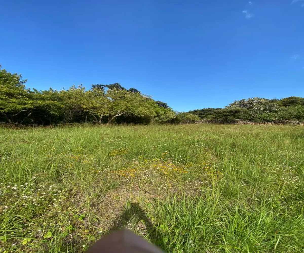 Terreno En Venta,Carretera Catarina - Atemajac de Brizuela KM 27 S/N, Atemajac de Brizuela, Jalisco 45798,Carretera Catarina - Atemajac de Brizuela KM 27,p06bltf