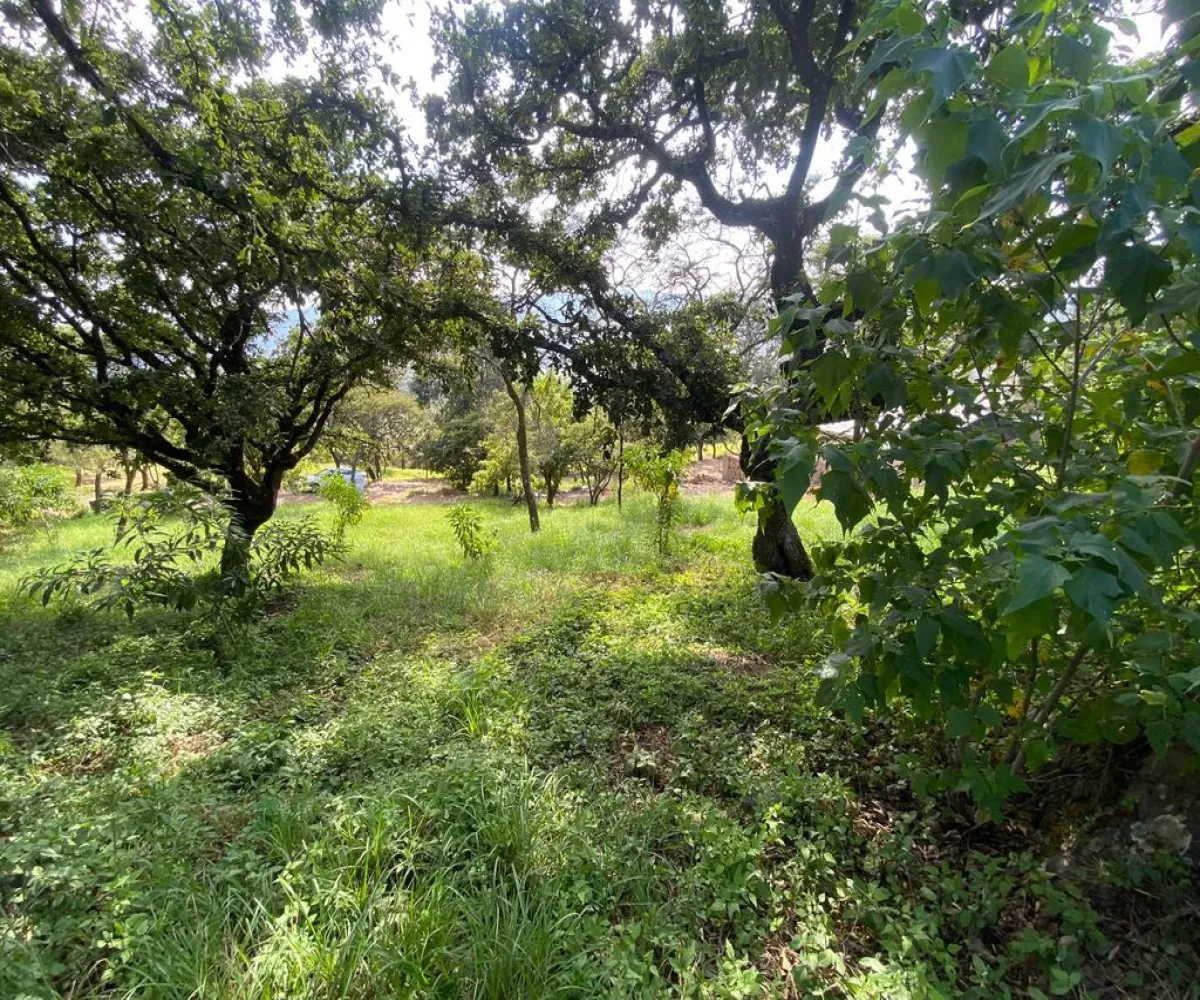 Terreno En Venta,Carretera Catarina - Atemajac de Brizuela KM 27 S/N, Atemajac de Brizuela, Jalisco 45798,Carretera Catarina - Atemajac de Brizuela KM 27,p06bltf