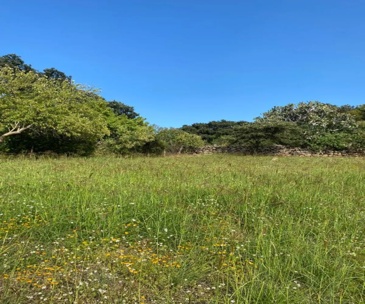 Terreno En Venta,Carretera Catarina - Atemajac de Brizuela KM 27 S/N, Atemajac de Brizuela, Jalisco 45798,Carretera Catarina - Atemajac de Brizuela KM 27,p06bltf