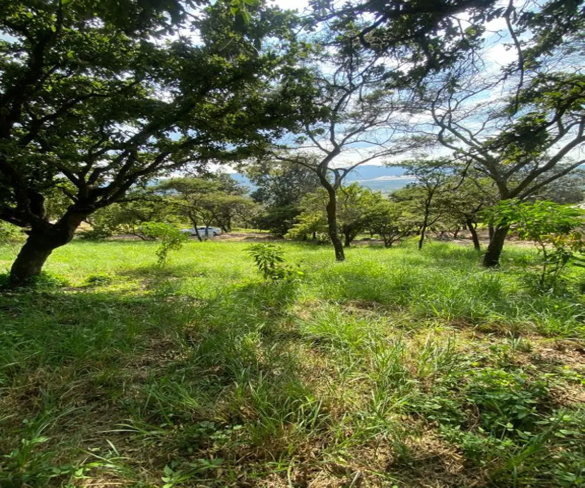 Terreno En Venta,Carretera Catarina - Atemajac de Brizuela KM 27 S/N, Atemajac de Brizuela, Jalisco 45798,Carretera Catarina - Atemajac de Brizuela KM 27,p06bltf