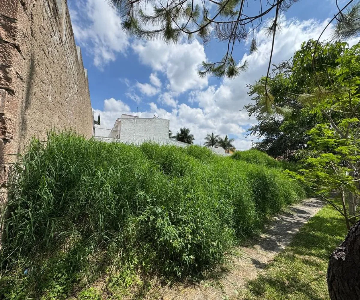 Terreno En Venta,El Palomar,Valle de Aldama S/N, Tlajomulco de Zúñiga, Jalisco 45643,Valle de Aldama,pVyraMZ