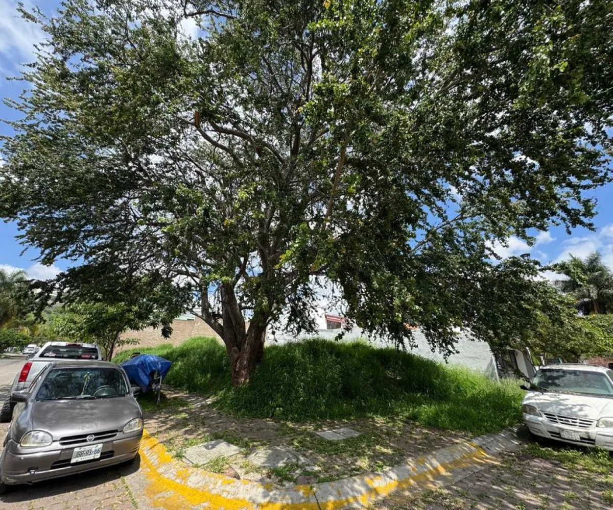 Terreno En Venta,El Palomar,Valle de Aldama S/N, Tlajomulco de Zúñiga, Jalisco 45643,Valle de Aldama,pVyraMZ