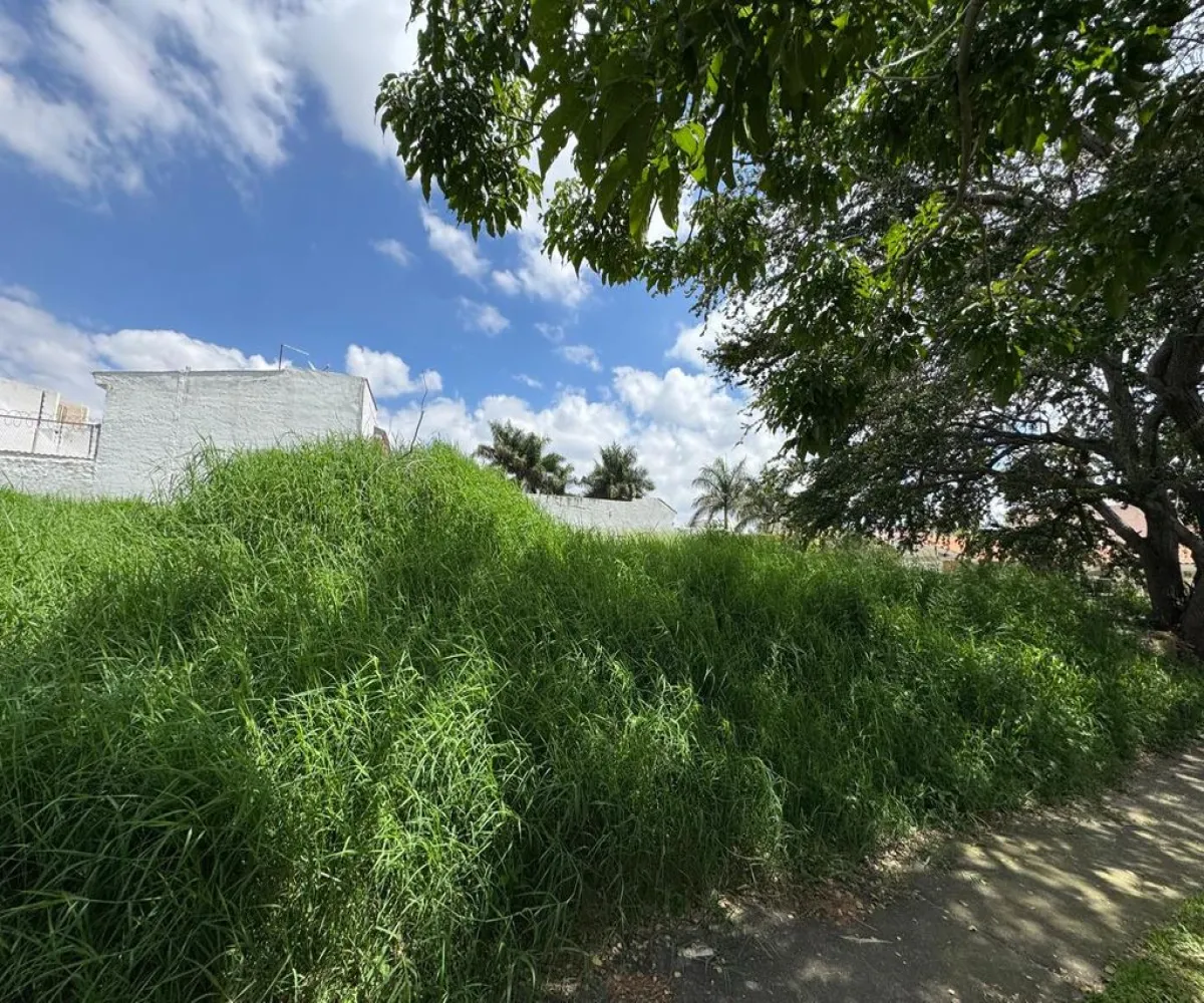 Terreno En Venta,El Palomar,Valle de Aldama S/N, Tlajomulco de Zúñiga, Jalisco 45643,Valle de Aldama,pVyraMZ