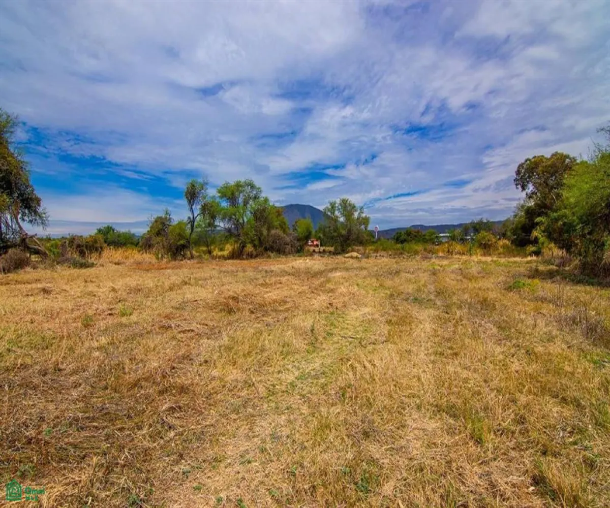 Terreno En Venta,San Nicolás de Ibarra,ISLA LOS PATOS 9, Chapala, Jalisco 45940,ISLA LOS PATOS,MX241039146