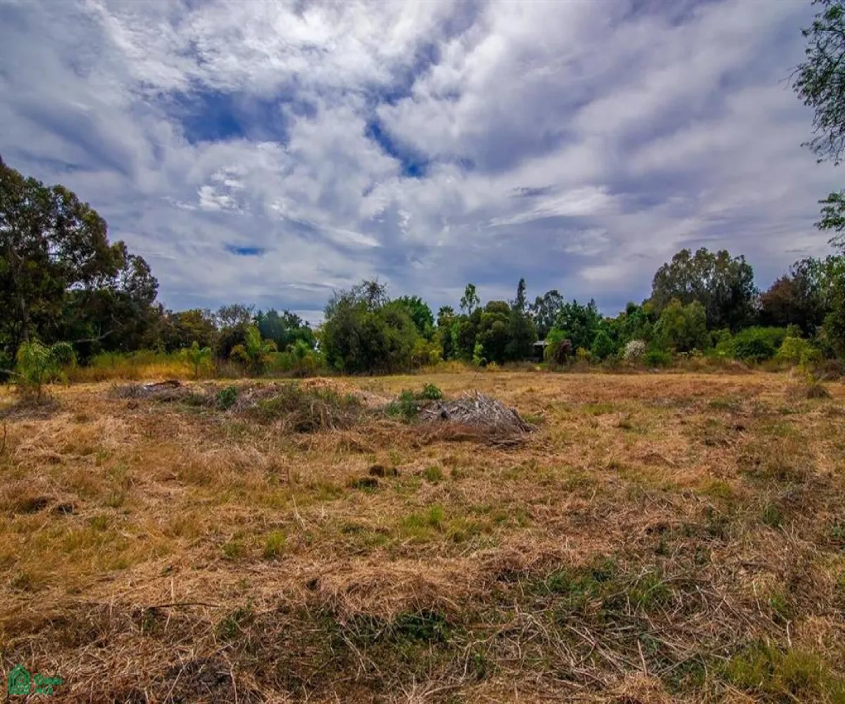 Terreno En Venta,San Nicolás de Ibarra,ISLA LOS PATOS 9, Chapala, Jalisco 45940,ISLA LOS PATOS,MX241039146