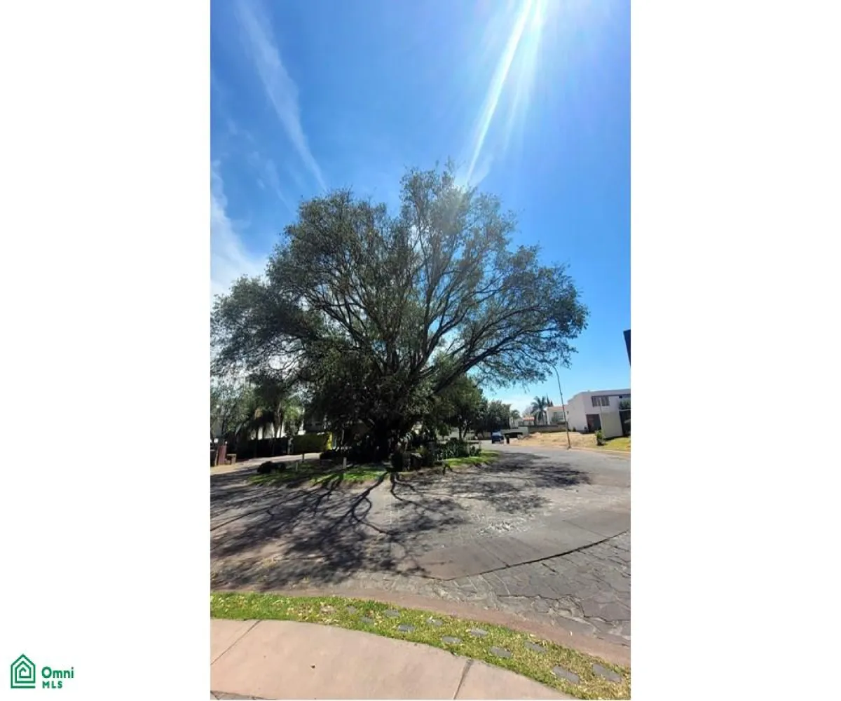 Casa En Renta,LA RIOJA,Quintanar de la Rioja S/N, Tlajomulco de Zuniga, Jalisco 45645, 4 Habitaciones,4 Baños,Quintanar de la Rioja,MX251039627