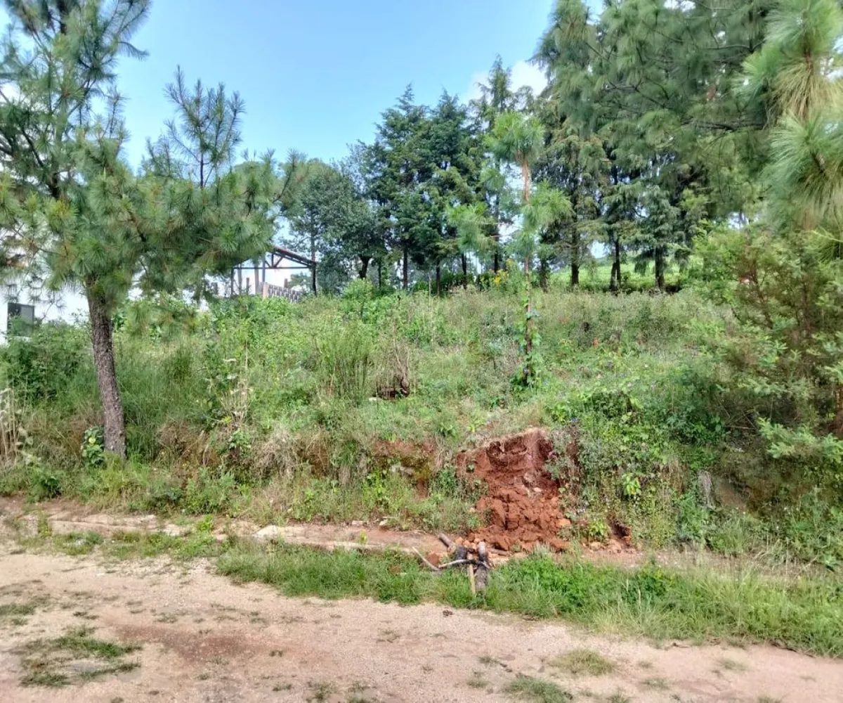Terreno En Venta,La Media Luna S/N, Mazamitla, Jalisco 49517,La Media Luna ,pSTYiUB