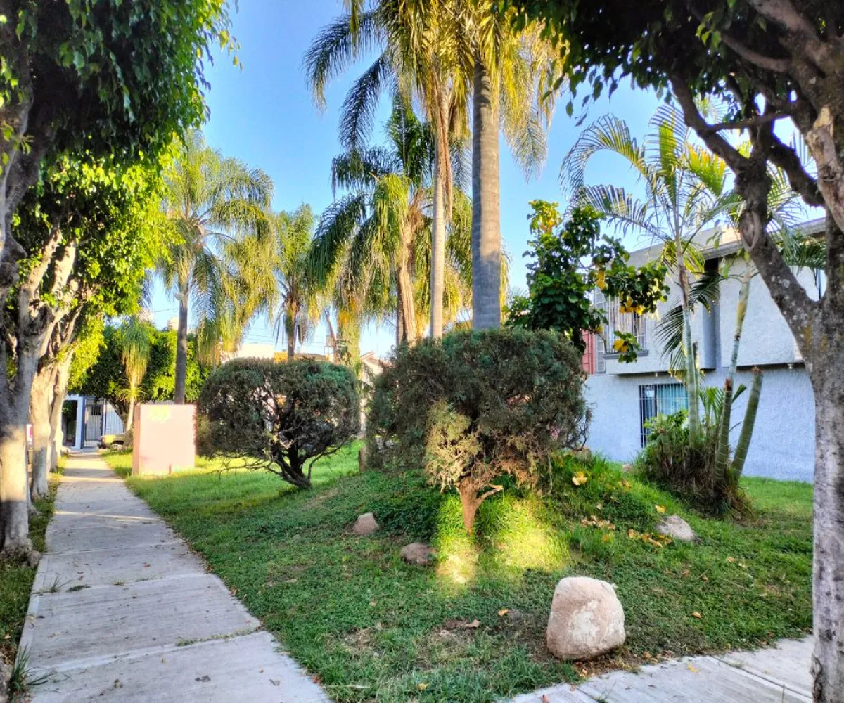 Casa En Venta,Guadalupe Sur,San Javier 1000, Zapopan, Jalisco 45030, 3 Habitaciones,2 Baños,San Javier,2,pk0qp4Q