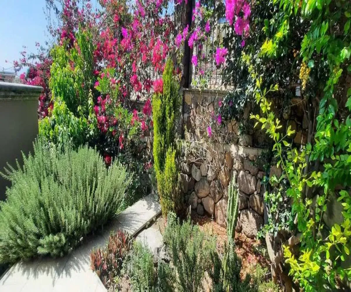 Casa En Venta,San Juan cosala,Paseo del Empedrito 3, Jocotepec, Jalisco 45820, 1 Cuarto,5 Baños,Paseo del Empedrito,1,pKOjMJ9