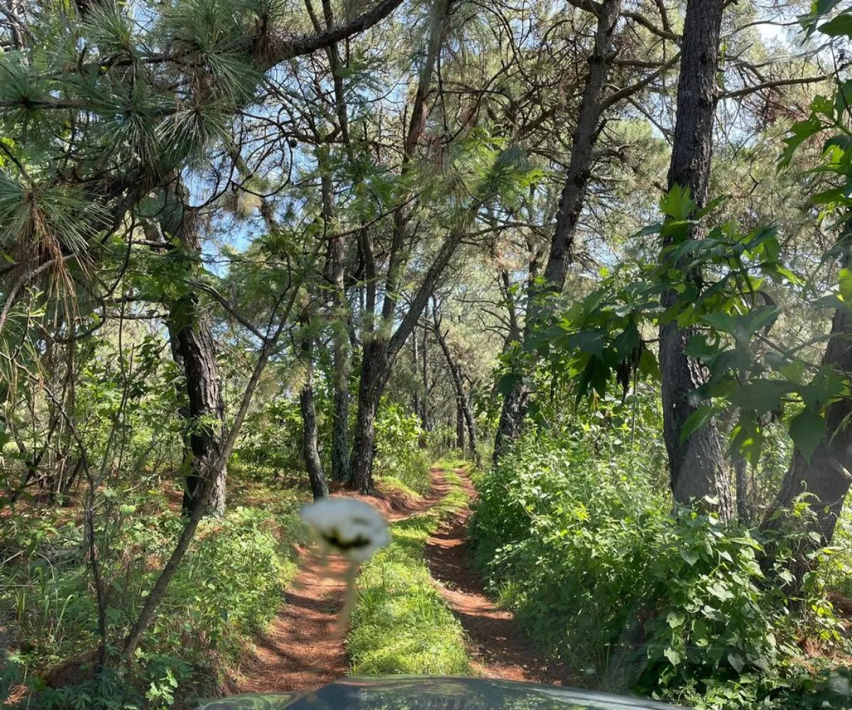 Terreno En Venta,Prolongación Mariano Otero S/N, Zapopan, Jalisco 45230,Prolongación Mariano Otero,p2MAOSO