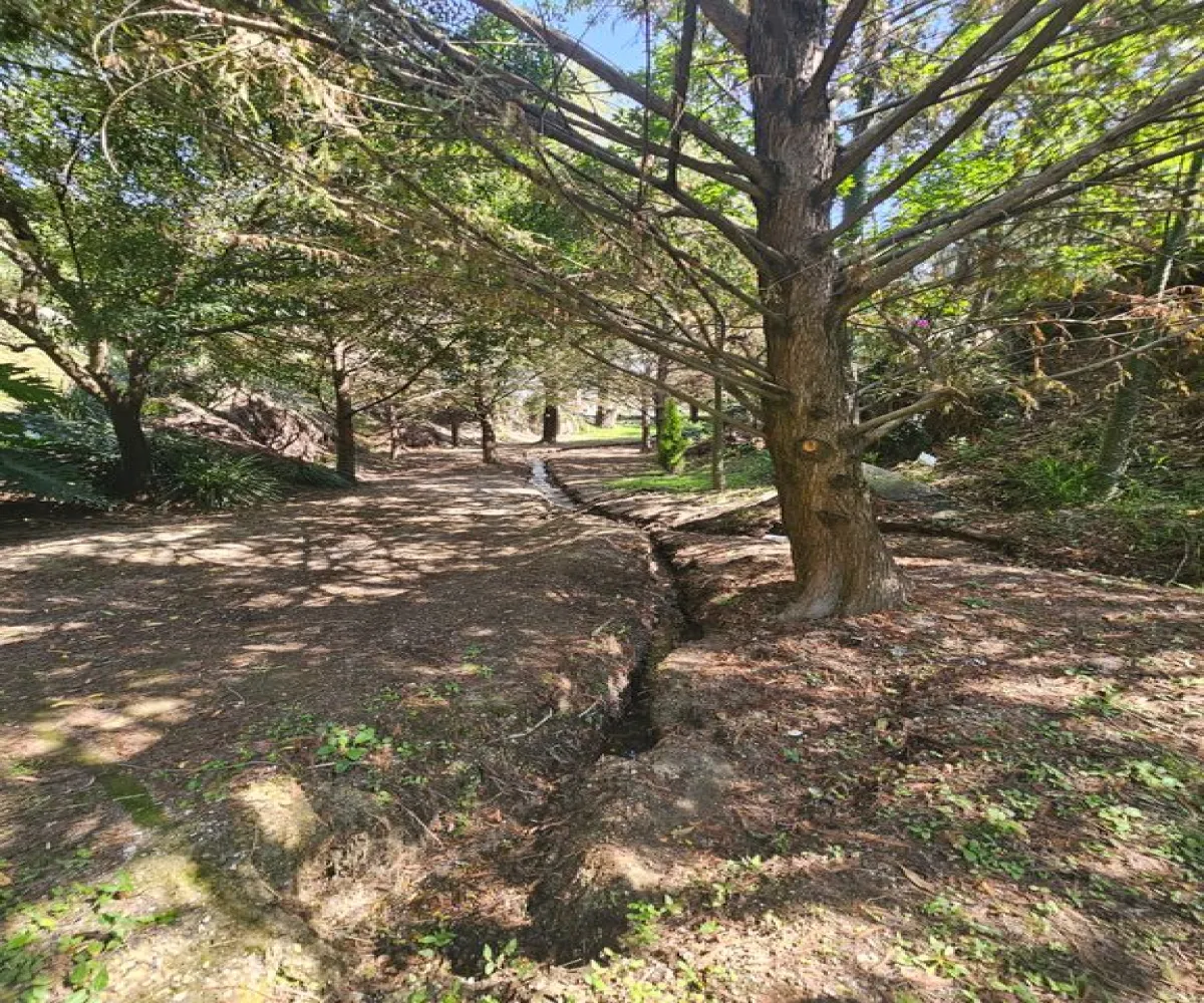 Casa En Venta,Las Cumbres,Paseo de los Virreyes 1250, Zapopan, Jalisco 45110, 4 Habitaciones,5 Baños,Paseo de los Virreyes,2,pXAKEJs