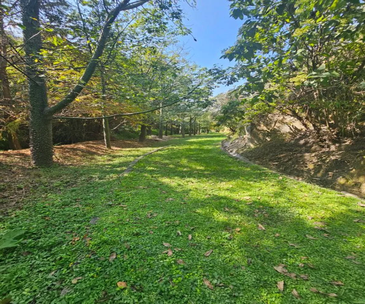 Casa En Venta,Las Cumbres,Paseo de los Virreyes 1250, Zapopan, Jalisco 45110, 4 Habitaciones,5 Baños,Paseo de los Virreyes,2,pXAKEJs