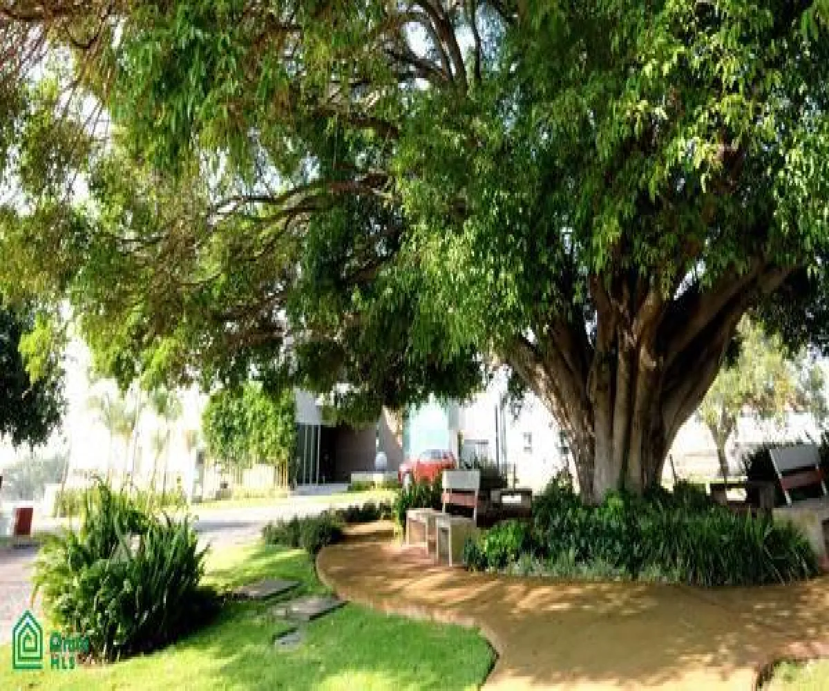 Casa En Renta,La Rioja,Ollauri 285, Tlajomulco de Zuniga, Jalisco 45640, 3 Habitaciones,3 Baños,Ollauri,2,MX251042541