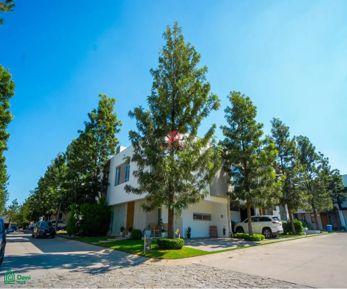 Casa En Venta,Solares Residencial,TERMA FONTANA 1601, Zapopan, Jalisco 45019, 3 Habitaciones,2 Baños,TERMA FONTANA,MX251043050