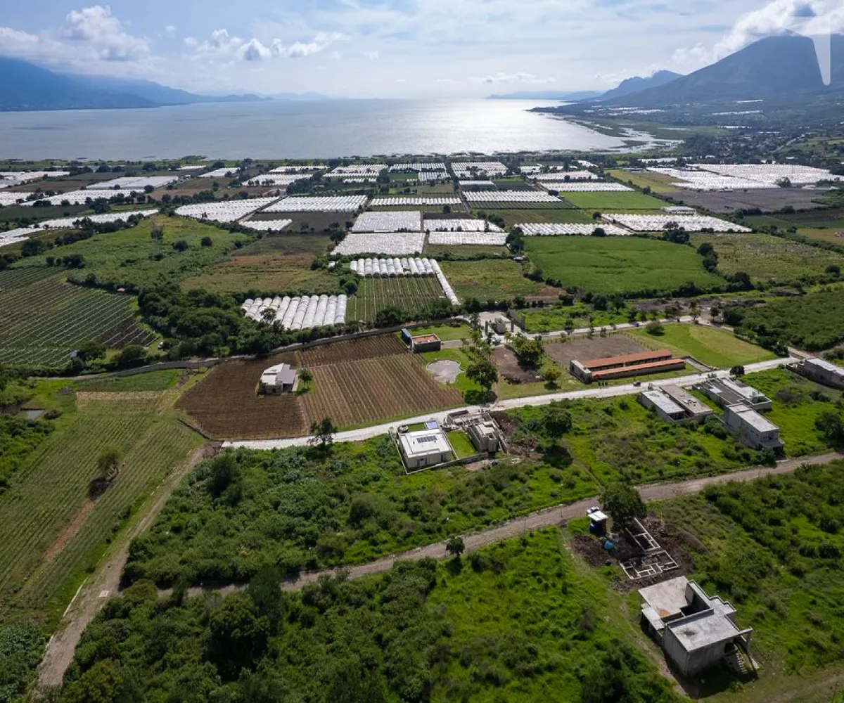 Terreno En Venta,Condominio Viñedos Lake,Camino a San Martin 10000 34, Jocotepec, Jalisco 45836,Camino a San Martin,pW5mMF6