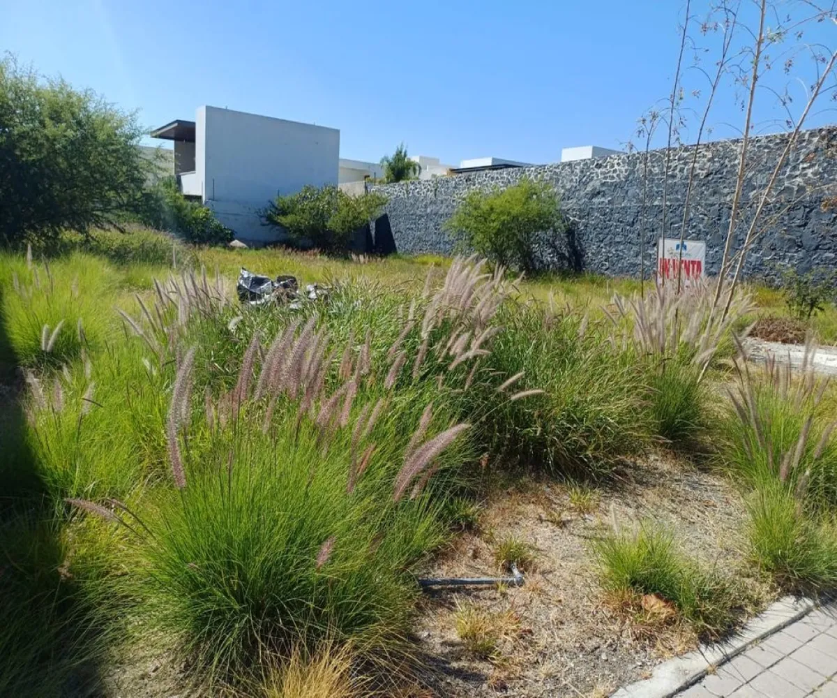 Terreno En Venta,Balcones de Juriquilla,Circuito Balcones 131 14, Querétaro, Querétaro 76226,Circuito Balcones,pAOyZNW