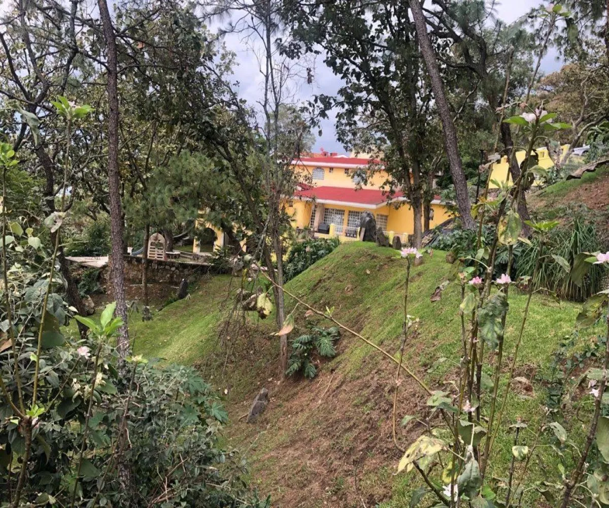 Casa En Venta,Pinar De La Venta,Paseo del Pinar 117, Zapopan, Jalisco 45221, 4 Habitaciones,3 Baños,Paseo del Pinar,2,pVIEbgJ