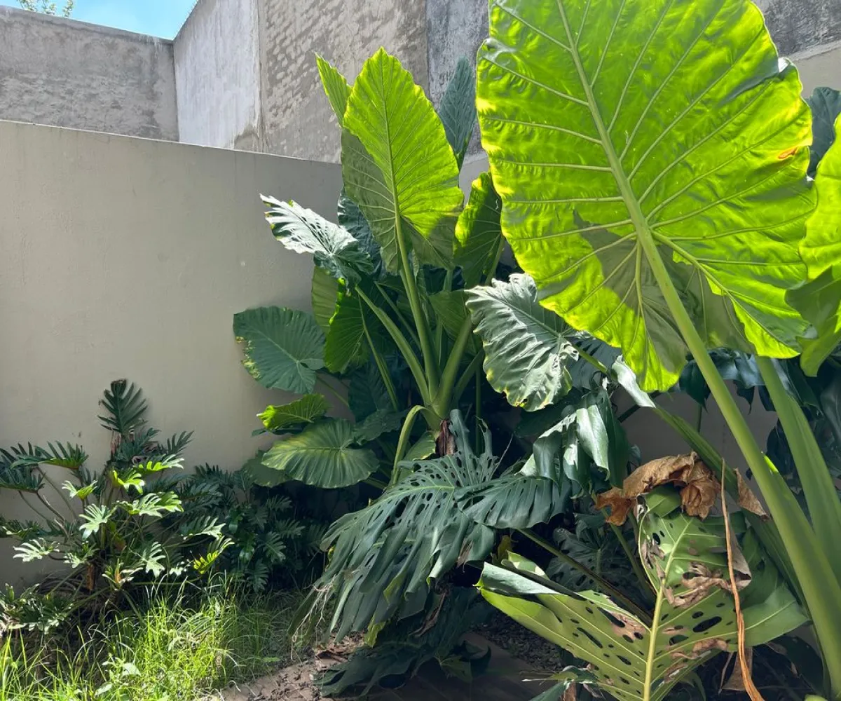 Casa En Venta,Valle Imperial,Boulevard Valle Imperial, Imperio Bizantino 115, Zapopan, Jalisco 45134, 3 Habitaciones,4 Baños,Boulevard Valle Imperial, Imperio Bizantino,3,plraOjY