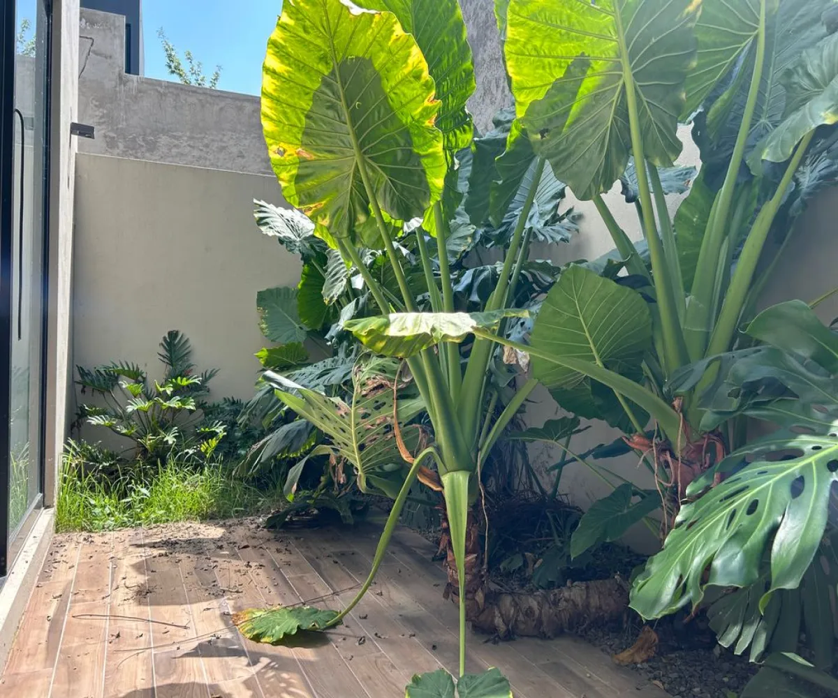 Casa En Venta,Valle Imperial,Boulevard Valle Imperial, Imperio Bizantino 115, Zapopan, Jalisco 45134, 3 Habitaciones,4 Baños,Boulevard Valle Imperial, Imperio Bizantino,3,plraOjY