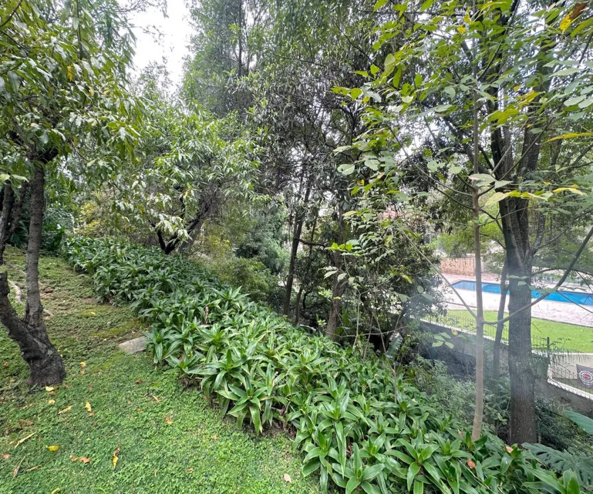 Casa En Renta,Colinas de San Javier,Paseo Santa Cecilia 58, Zapopan, Jalisco 45110, 3 Habitaciones,3 Baños,Paseo Santa Cecilia,2,pFIjrFX