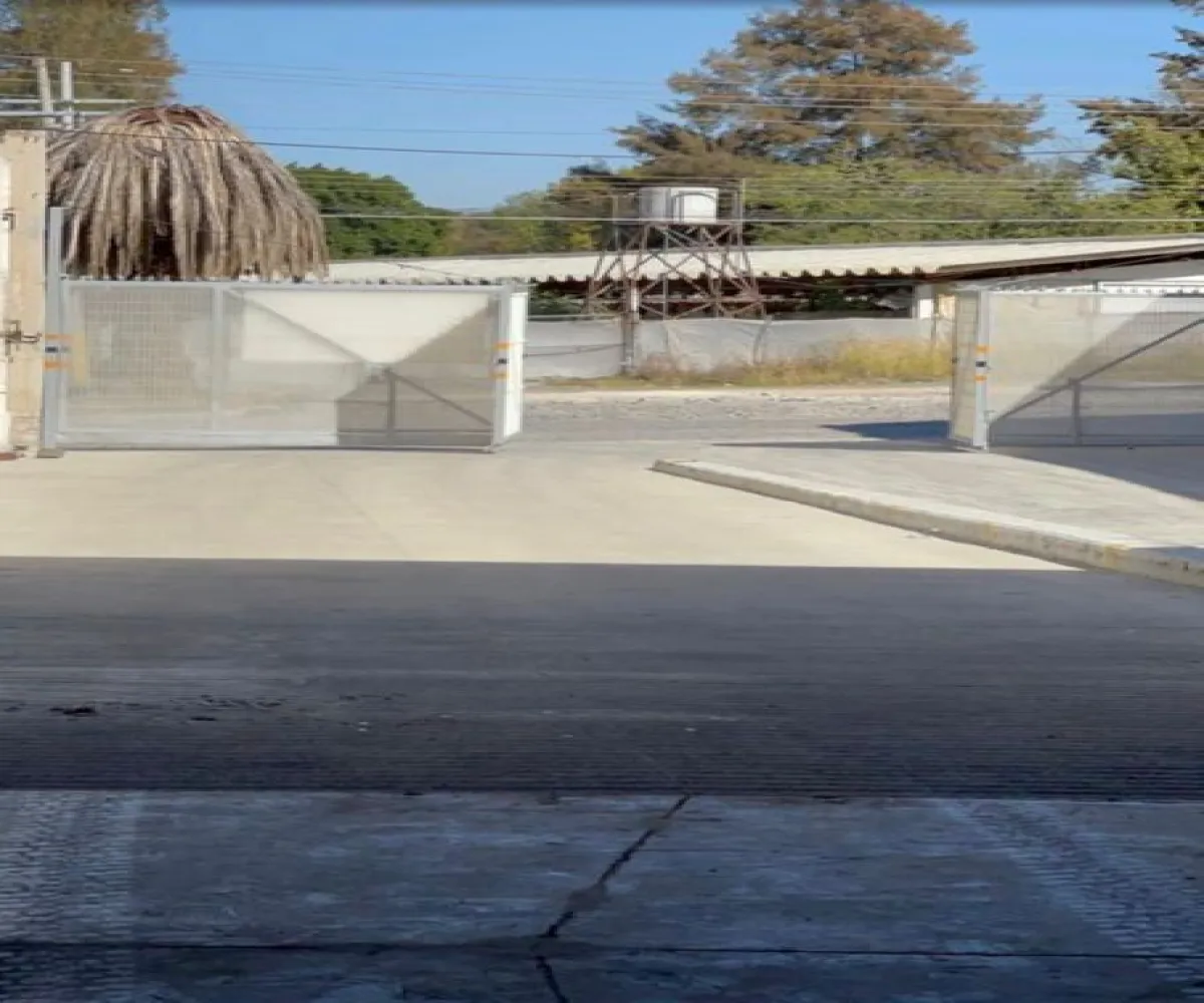 Bodega En Renta,Vereda del tulipán S/N, Tlajomulco de Zúñiga, Jalisco 45650,Vereda del tulipán,1,pM7Inc2