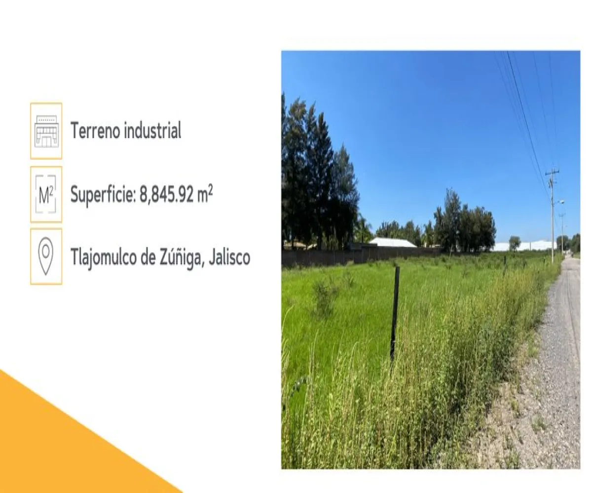 Terreno En Venta,Valle de Santa Cruz S/N, Tlajomulco de Zúñiga, Jalisco 45640,Valle de Santa Cruz,pGvgcxC