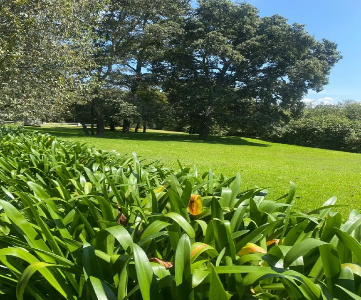 En Venta,Pinares Tapalpa ,Paseo de los Encinos 765 86 B, Tapalpa, Jalisco 44160, 4 Habitaciones,4 Baños,Paseo de los Encinos ,3,pXtQOcX