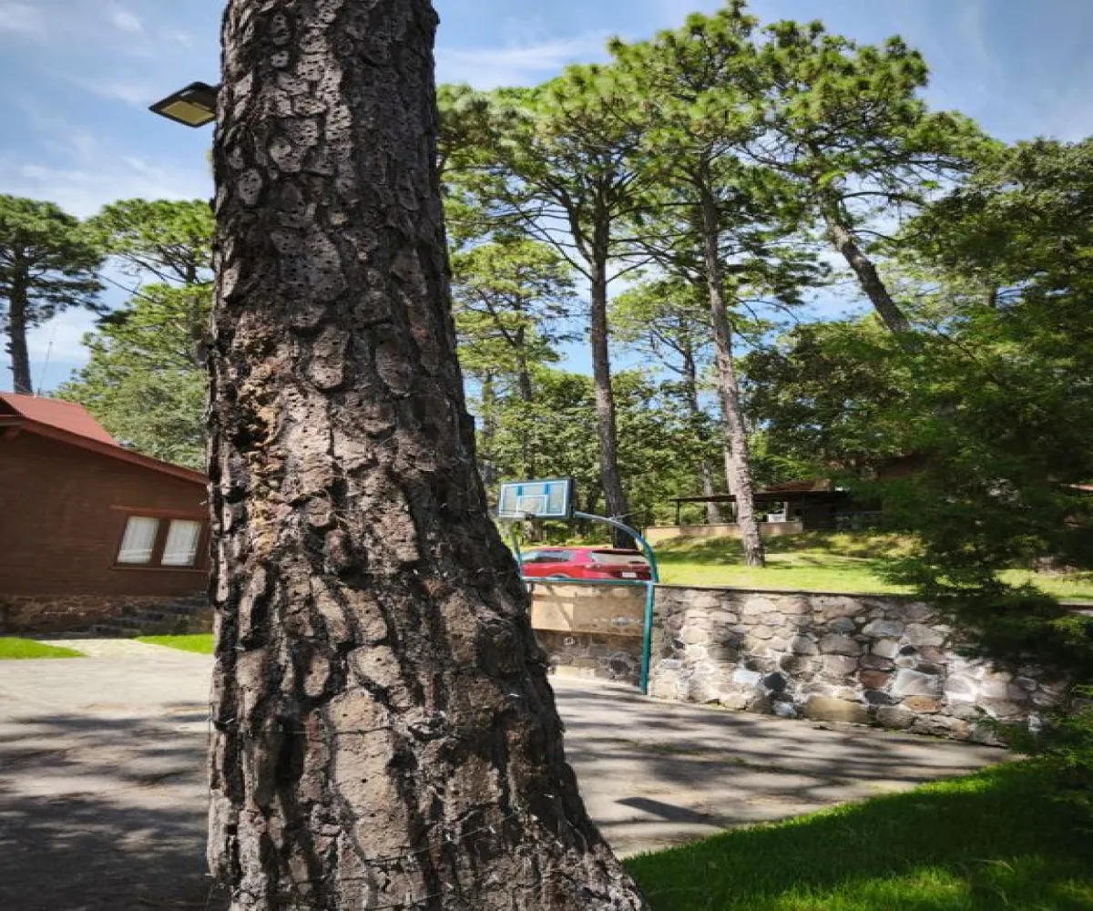 En Venta,Pinares Tapalpa ,Paseo de los Encinos 765 86 B, Tapalpa, Jalisco 44160, 4 Habitaciones,4 Baños,Paseo de los Encinos ,3,pXtQOcX