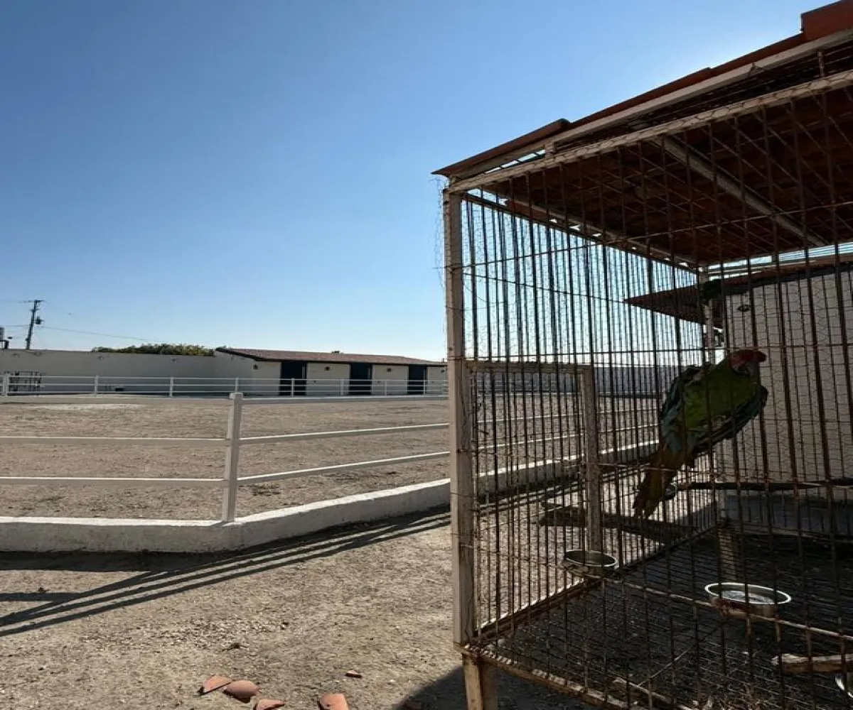 Casa En Venta,El Refugio,Acacia S/N, Tala, Jalisco 45300, 3 Habitaciones,3 Baños,Acacia,1,pvthp0Y