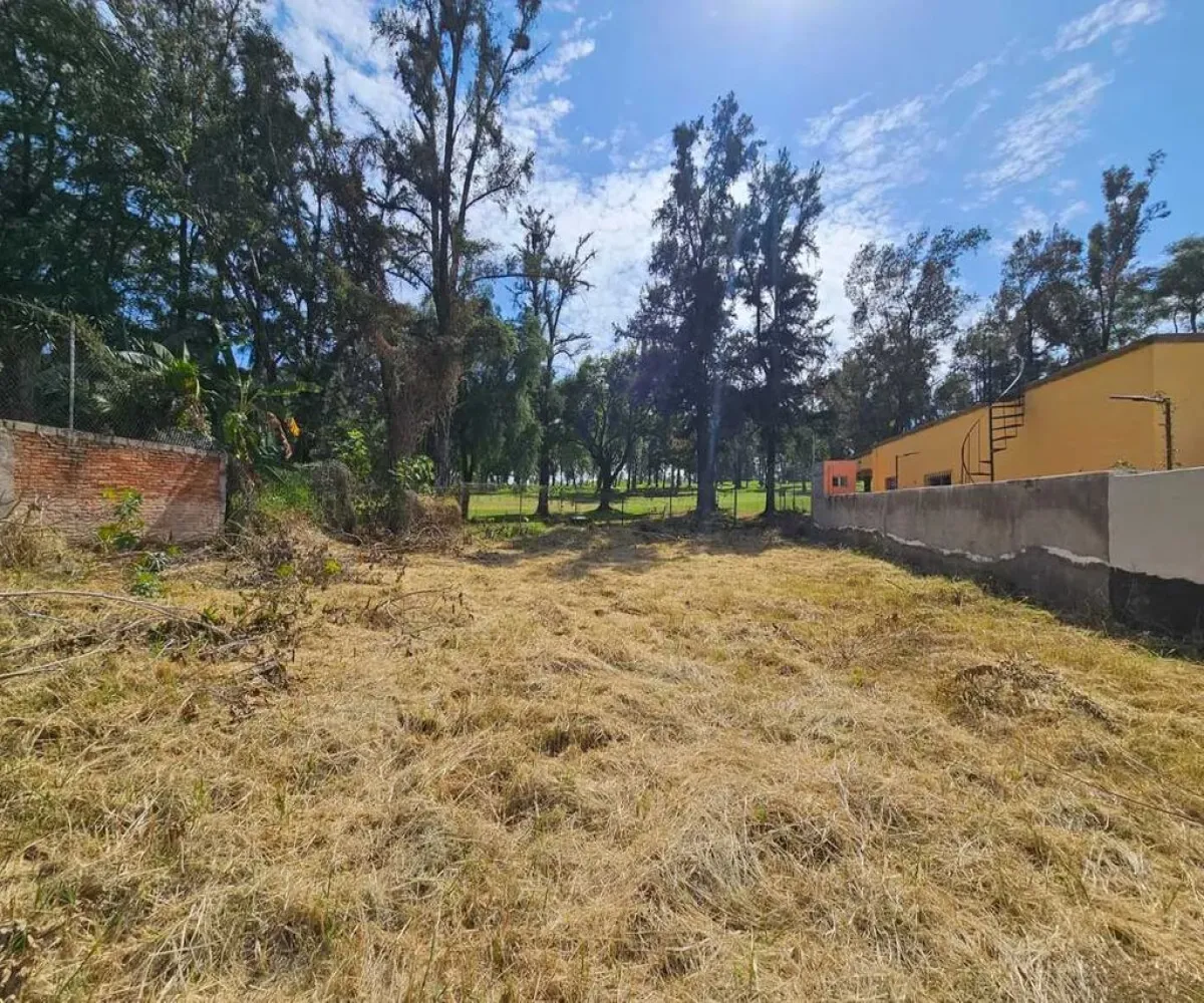 Terreno En Venta,Club de Golf Atlas,Club Atlas Norte 261, San Pedro Tlaquepaque, Jalisco 45623,Club Atlas Norte,pryDcj6