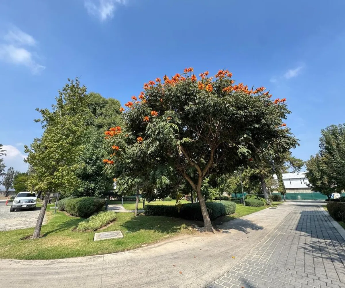 Casa En Venta,Hacienda San Acacio,Hacienda San Acasio 3203 20, Zapopan, Jalisco 45134, 4 Habitaciones,1 Baño,Hacienda San Acasio,1,pmtCwnZ