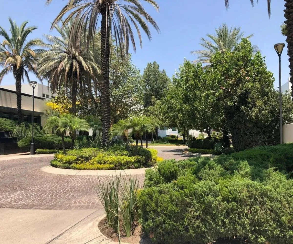 Terreno En Venta,Puerta Plata,Av. Universidad 300 B3, Zapopan, Jalisco 45110,Av. Universidad,pJG857x