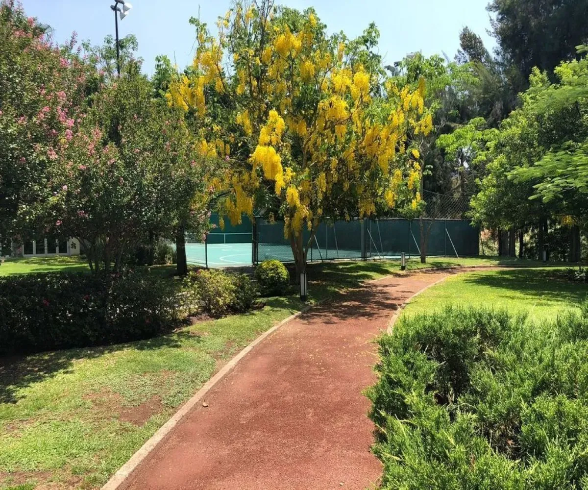 Terreno En Venta,Puerta Plata,Av. Universidad 300 B3, Zapopan, Jalisco 45110,Av. Universidad,pJG857x